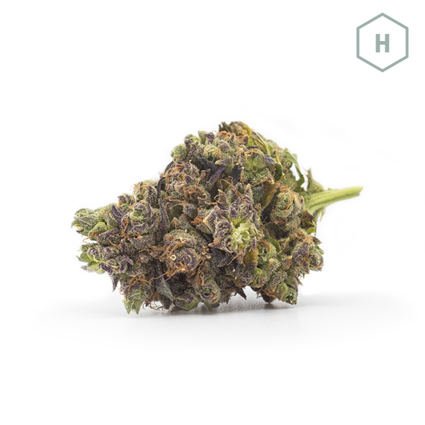 Jedi Kush