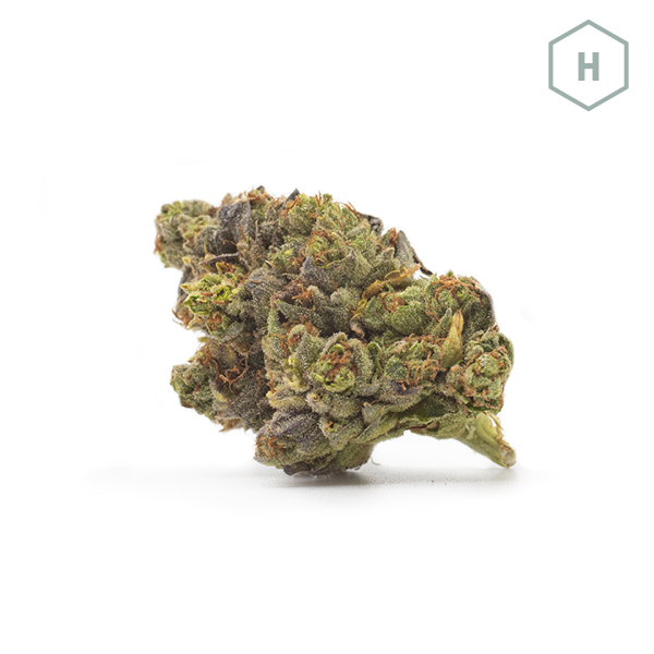SFV OG