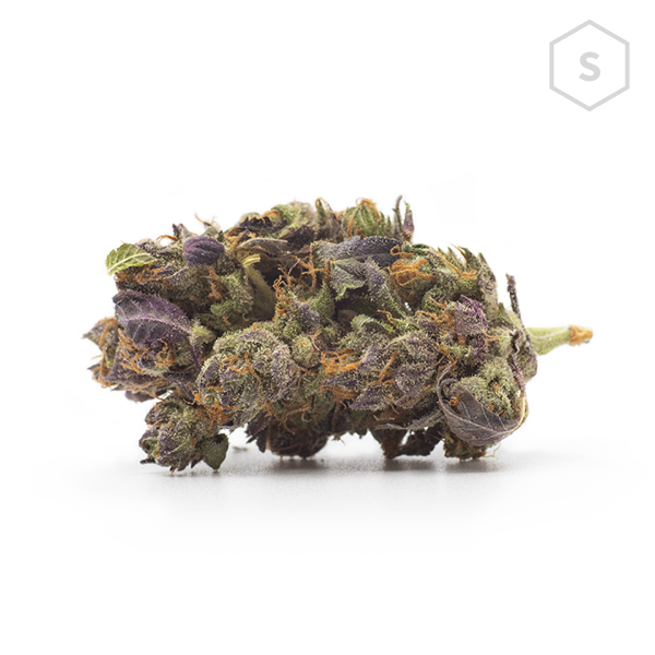 Sour Zkittlez