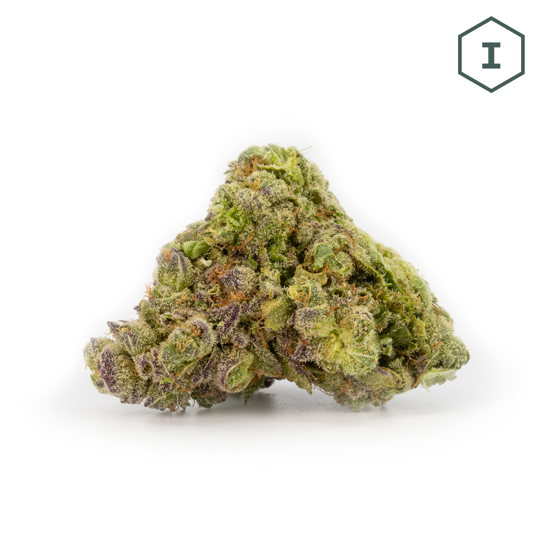 VGH OG