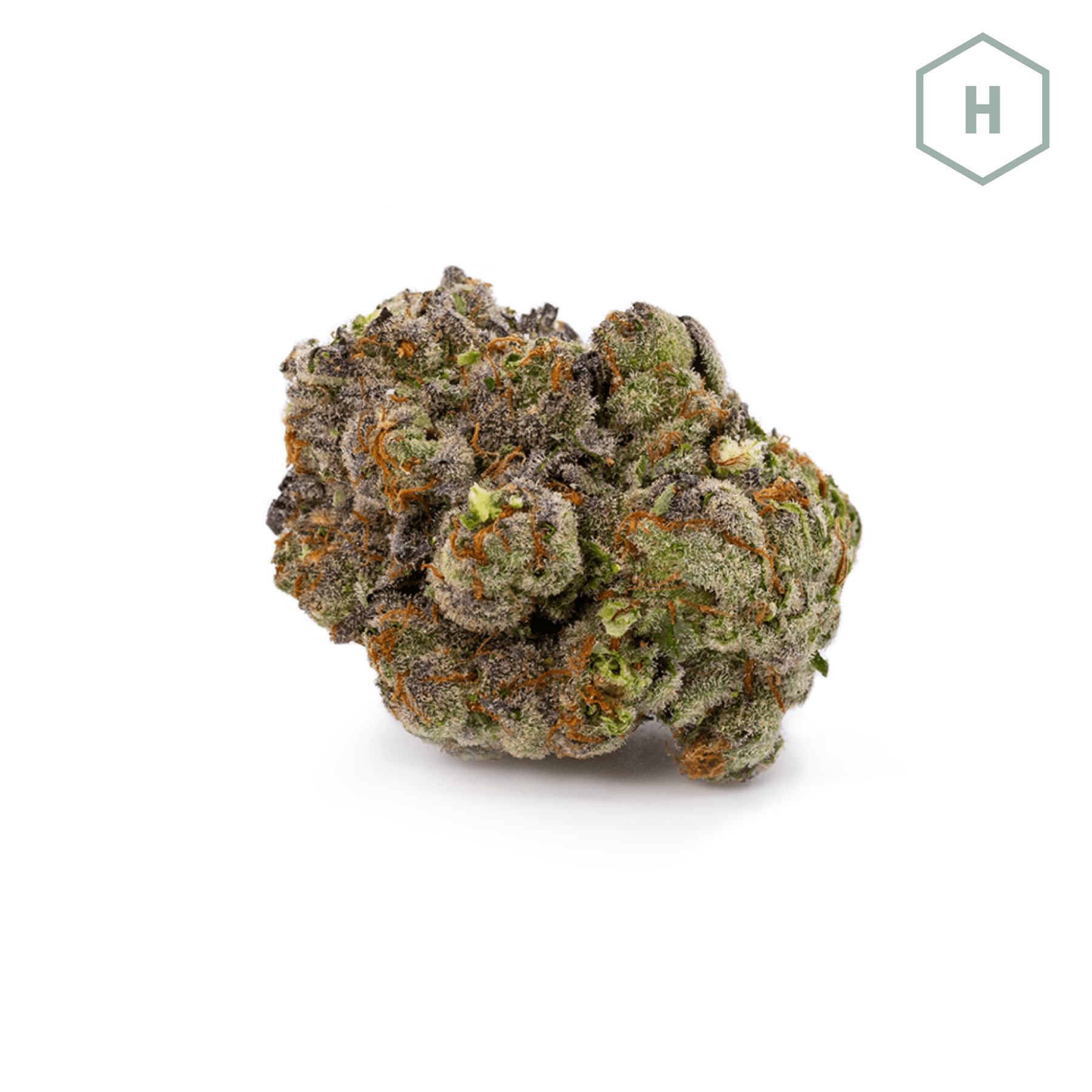 Grease Monkey #1
