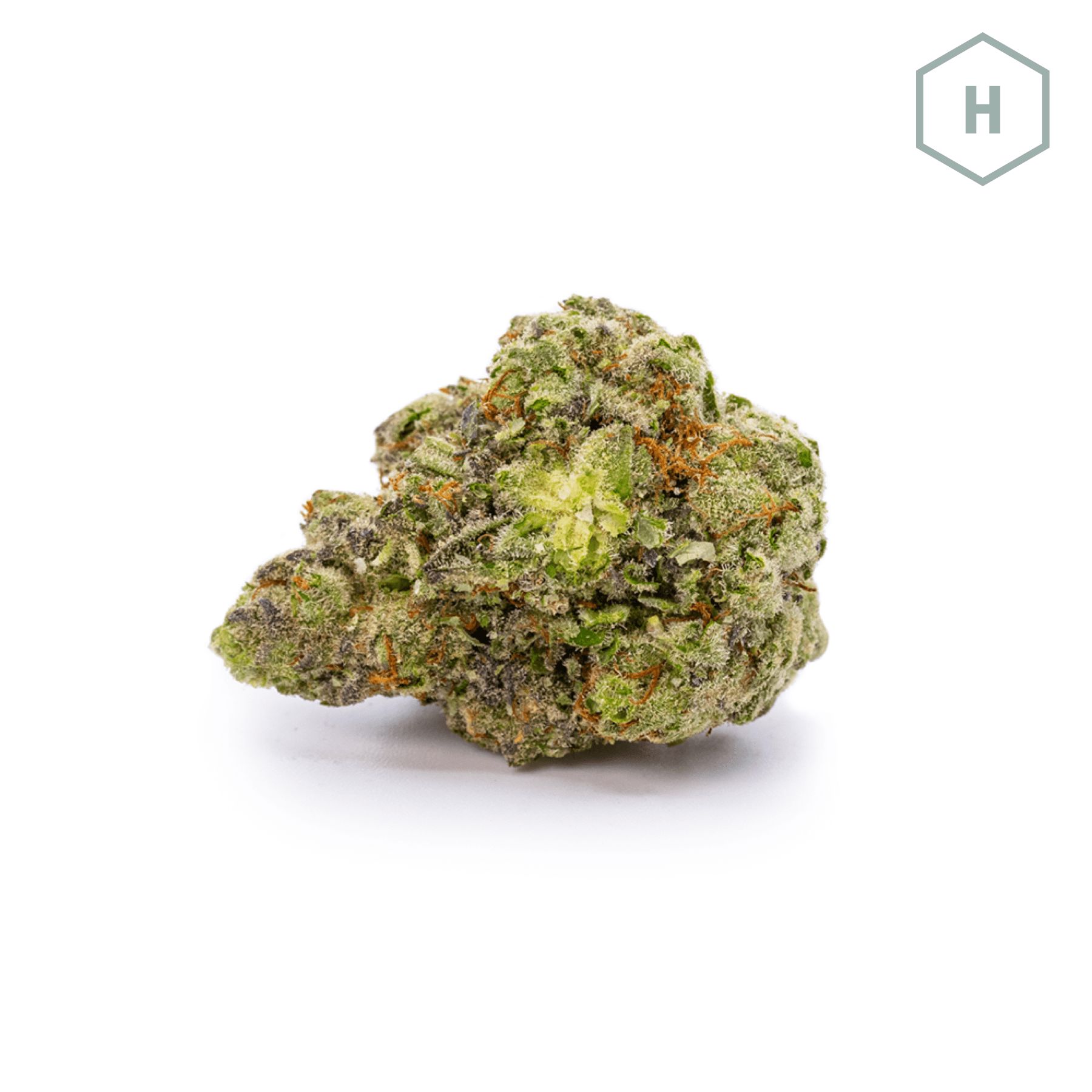 Grease Monkey #10